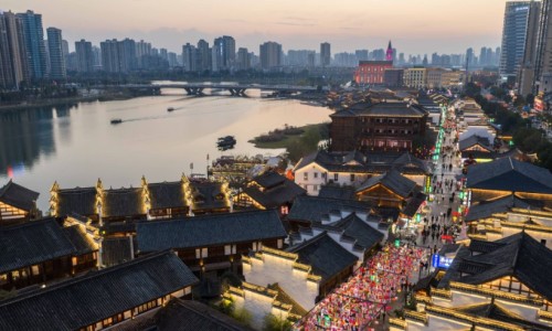 金鱼烂尾巴用什么药-小金鱼身上溃烂尾巴吊网 - 网站提供小金鱼烂尾巴怎么治疗小常识、金鱼烂身烂尾用什么药治疗好