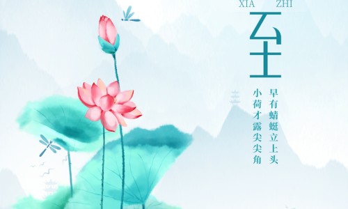 小金鱼烂尾巴怎么治疗-小金鱼身上溃烂尾巴吊网 - 网站提供小金鱼烂尾巴怎么治疗小常识、金鱼烂身烂尾用什么药治疗好