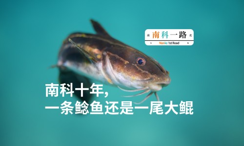 金鱼烂尾溃烂用不用刮掉-小金鱼身上溃烂尾巴吊网 - 网站提供小金鱼烂尾巴怎么治疗小常识、金鱼烂身烂尾用什么药治疗好