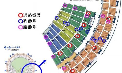 金鱼烂尾巴用什么药-小金鱼身上溃烂尾巴吊网 - 网站提供小金鱼烂尾巴怎么治疗小常识、金鱼烂身烂尾用什么药治疗好