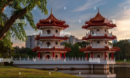 金鱼烂尾巴用什么药-小金鱼身上溃烂尾巴吊网 - 网站提供小金鱼烂尾巴怎么治疗小常识、金鱼烂身烂尾用什么药治疗好