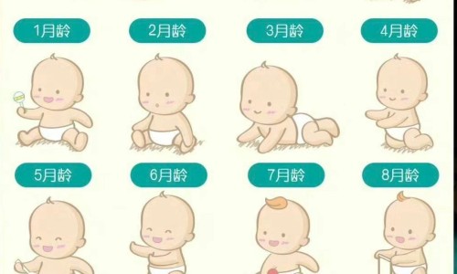 小金鱼身上溃烂尾巴吊网 - 网站提供小金鱼烂尾巴怎么治疗小常识、金鱼烂身烂尾用什么药治疗好
